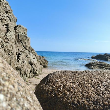 La SUITE VUE MER Concarneau Exterior foto